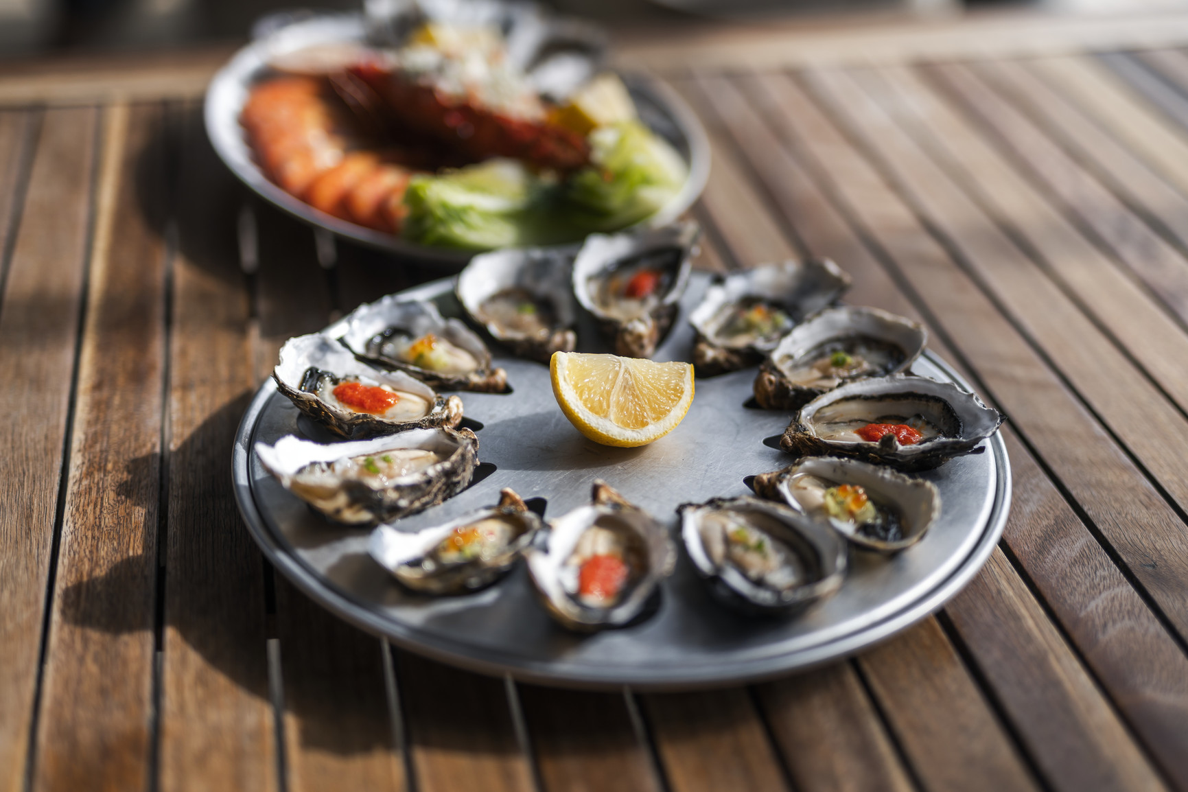 Oyster Bay Tours – Freycinet Marine Farm