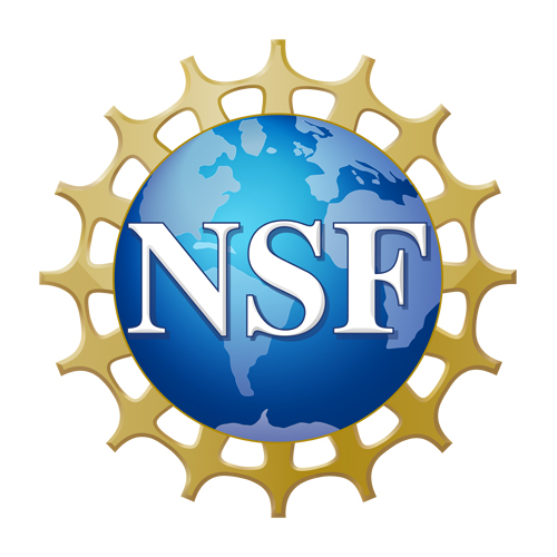 NSF_logo-big